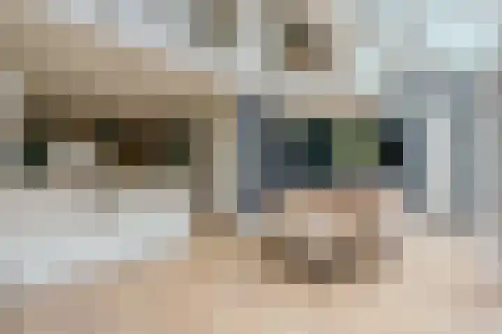 Willemsparkweg 124 2 Amsterdam thumbnail 15