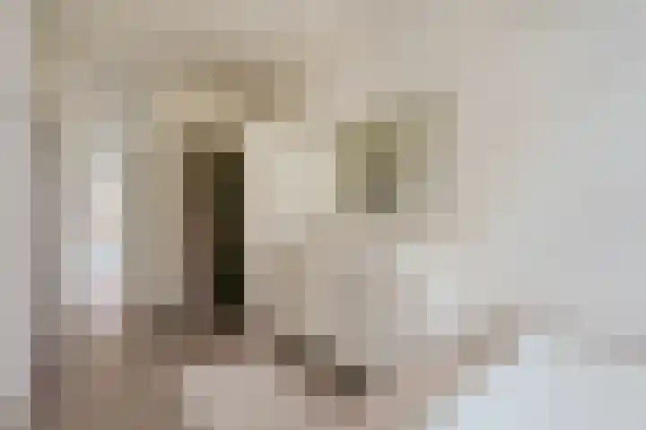 Willemsparkweg 124 2 Amsterdam thumbnail 26