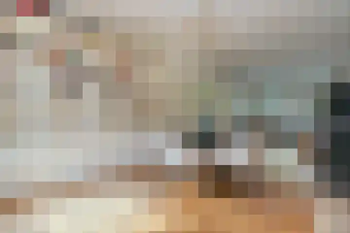 Willemsparkweg 124 2 Amsterdam thumbnail 7