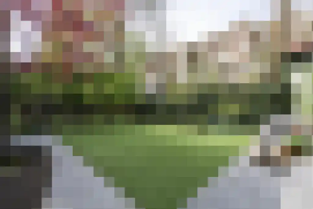 Willemsparkweg 132 A Amsterdam thumbnail 33