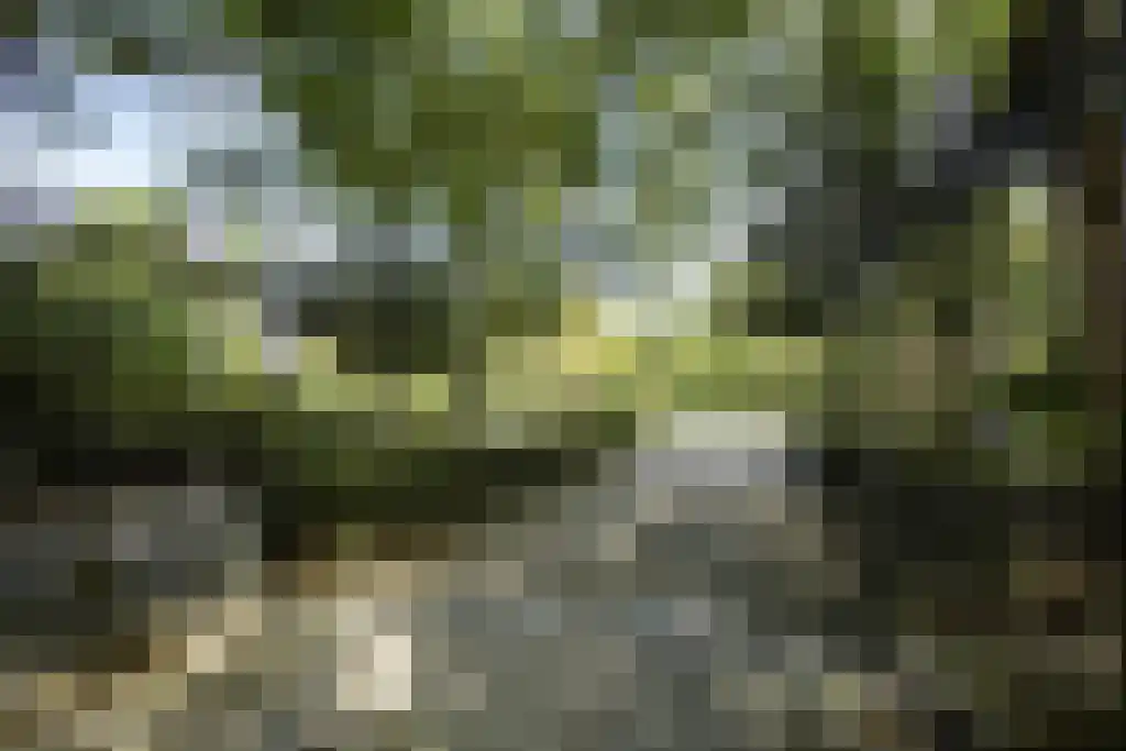 Willemsparkweg 132 A Amsterdam thumbnail 71
