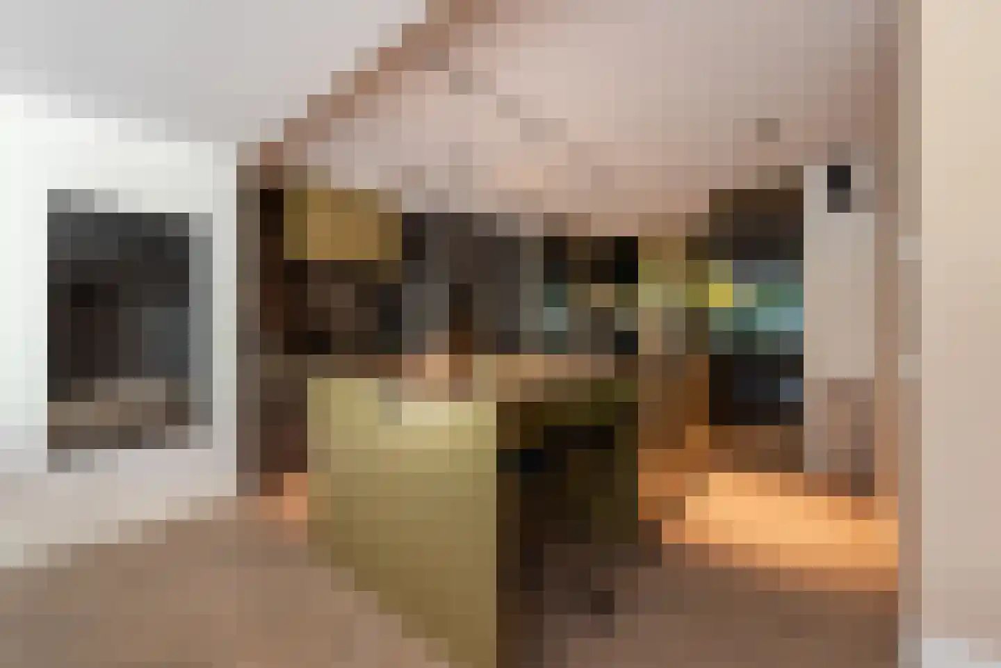 Willemsparkweg 133 Amsterdam thumbnail 10