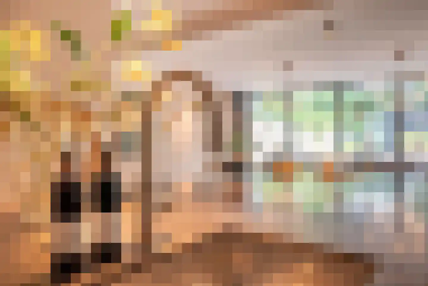 Willemsparkweg 133 Amsterdam thumbnail 18