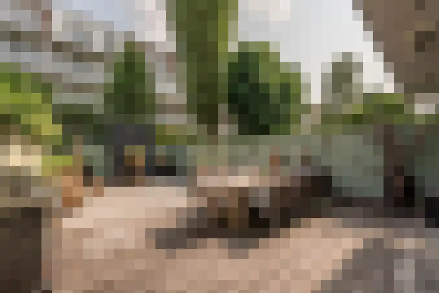 Willemsparkweg 133 Amsterdam thumbnail 21