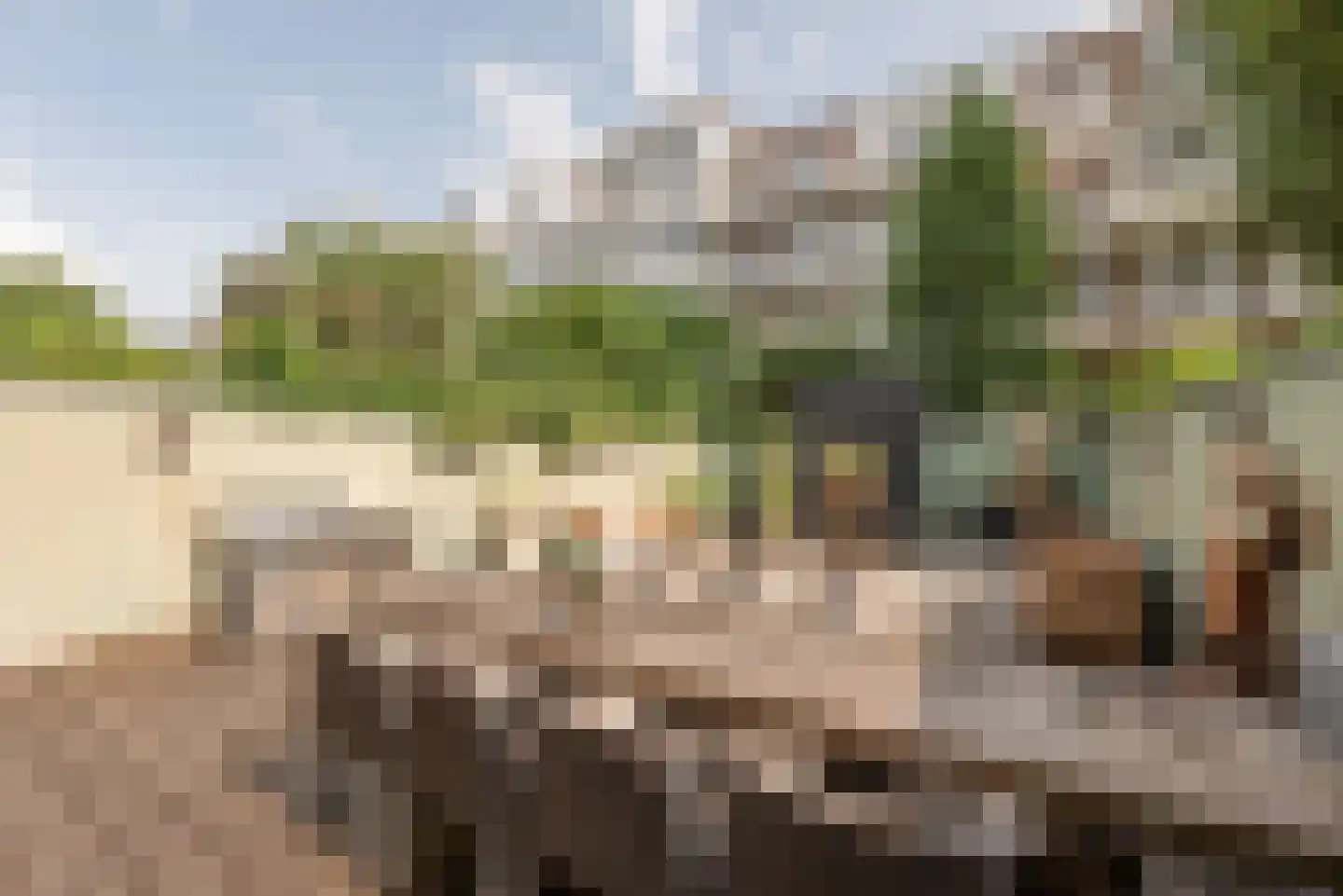 Willemsparkweg 133 Amsterdam thumbnail 23