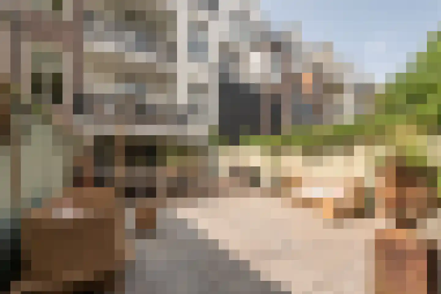 Willemsparkweg 133 Amsterdam thumbnail 24