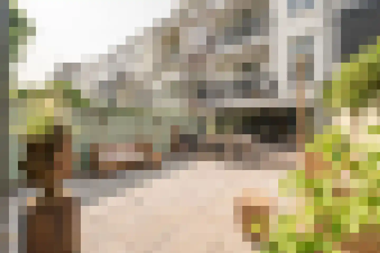 Willemsparkweg 133 Amsterdam thumbnail 25