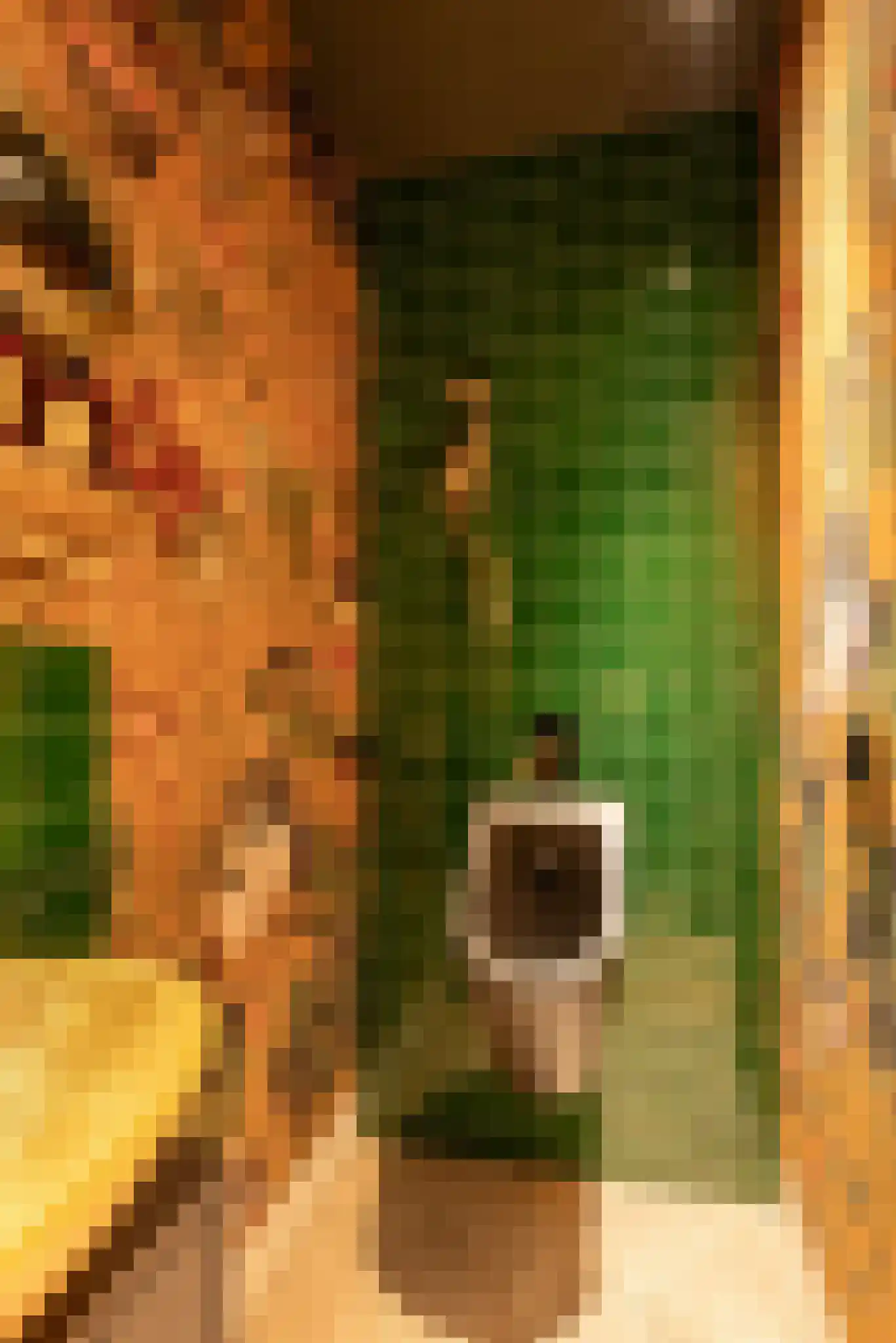 Willemsparkweg 133 Amsterdam thumbnail 32