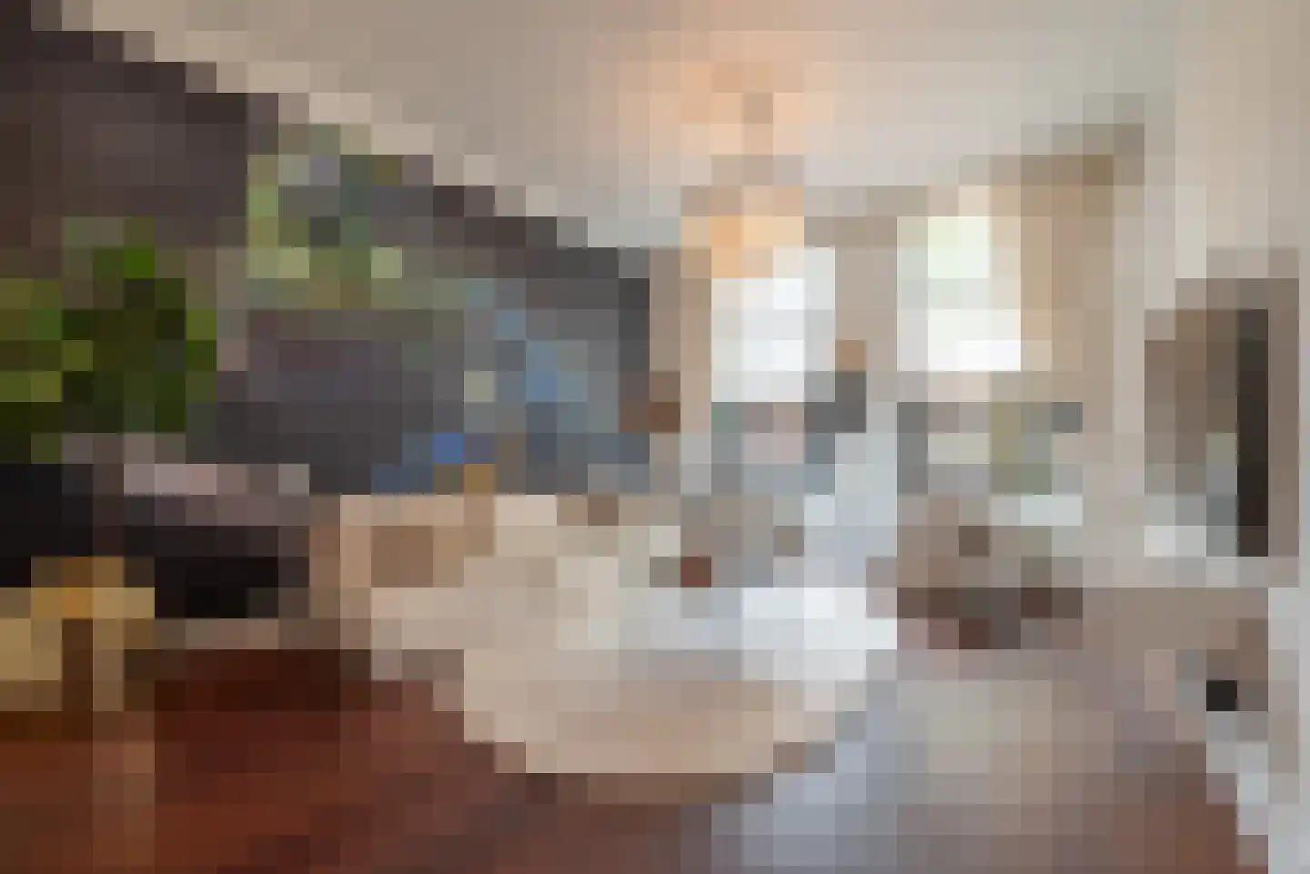 Willemsparkweg 133 Amsterdam thumbnail 34