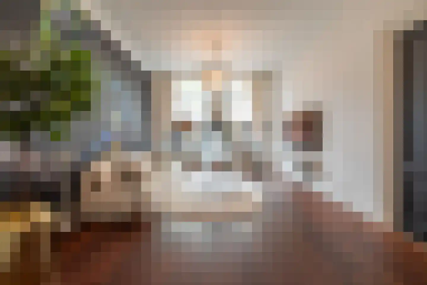 Willemsparkweg 133 Amsterdam thumbnail 35