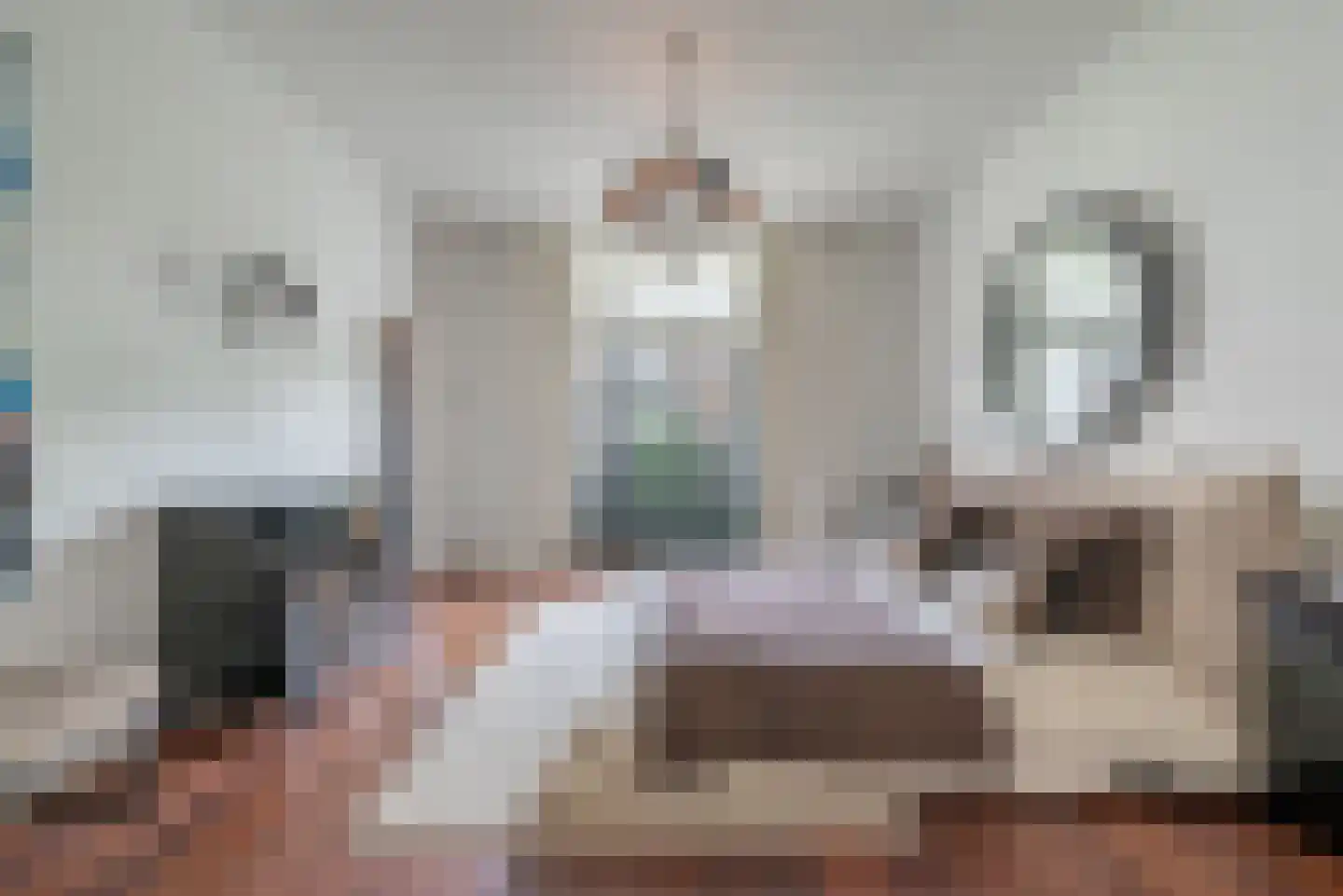 Willemsparkweg 133 Amsterdam thumbnail 53