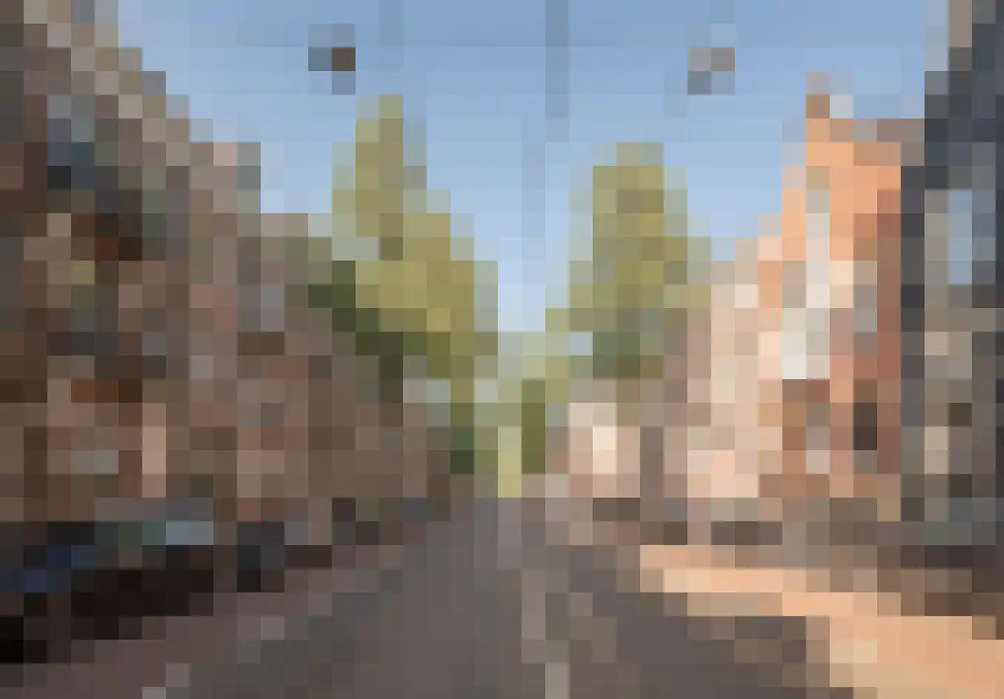 Willemsparkweg 133 Amsterdam thumbnail 86