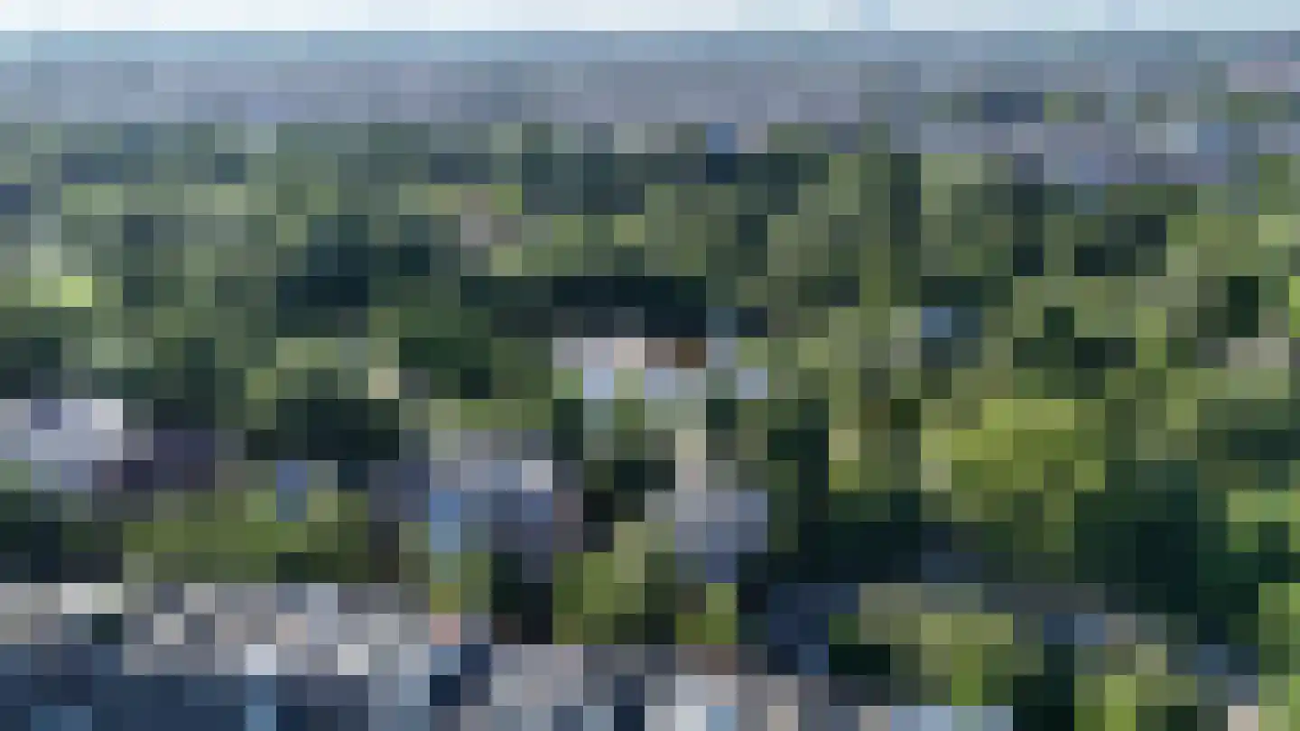 Willemsparkweg 133 Amsterdam thumbnail 87