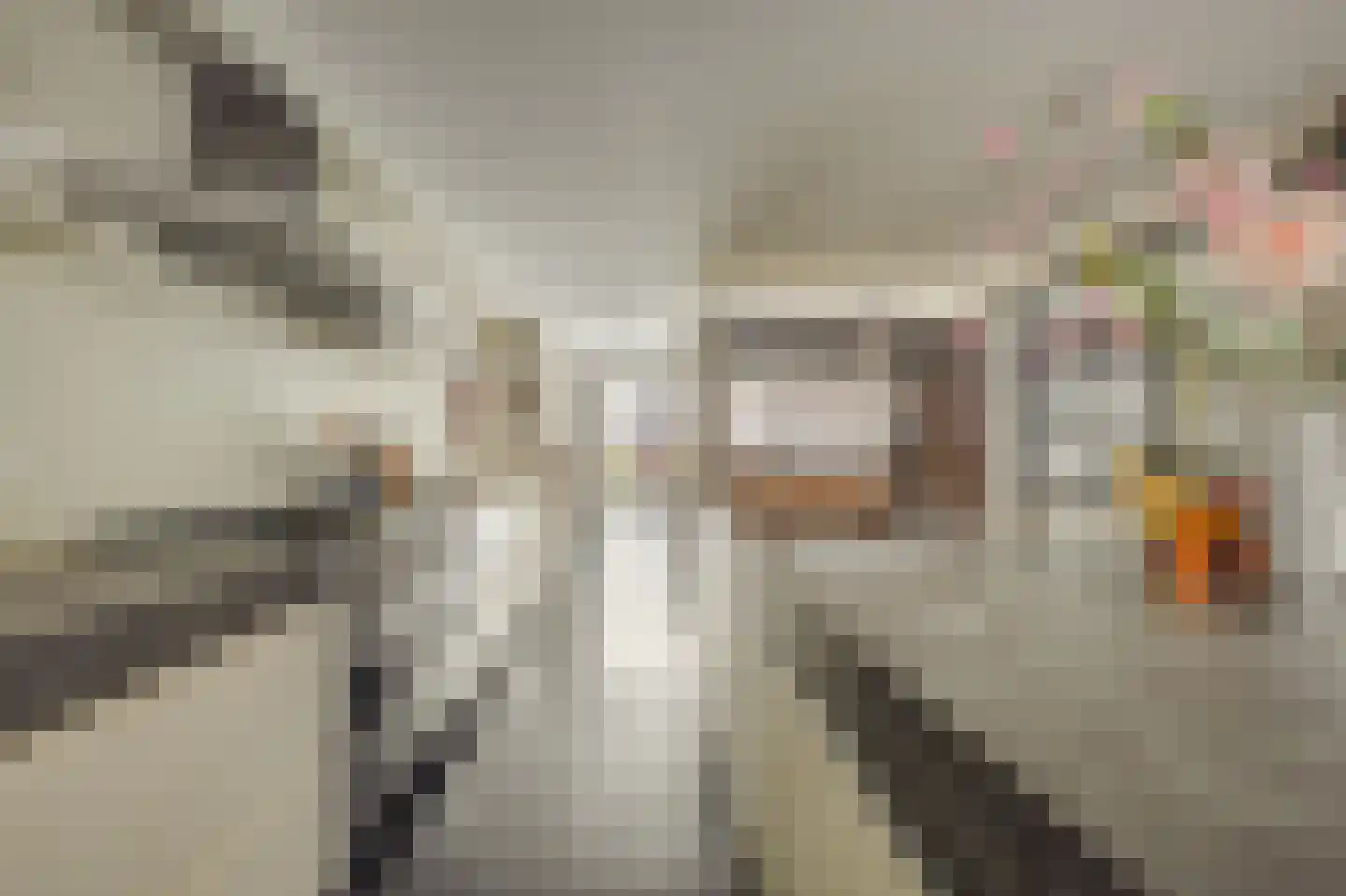Willemsparkweg 141 Amsterdam thumbnail 17