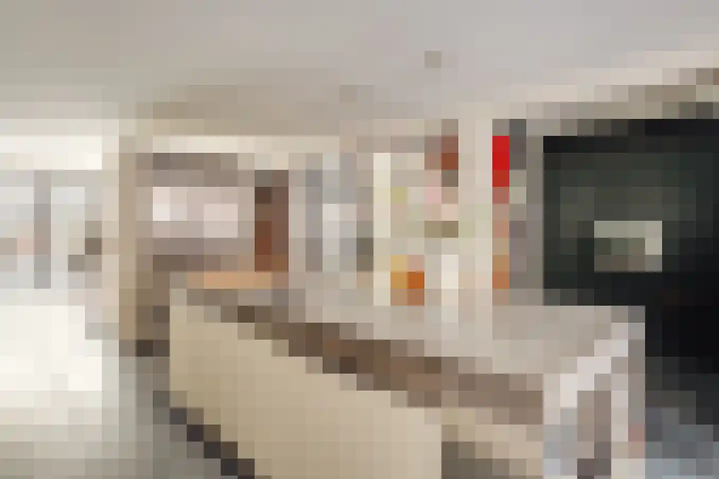 Willemsparkweg 141 Amsterdam thumbnail 20