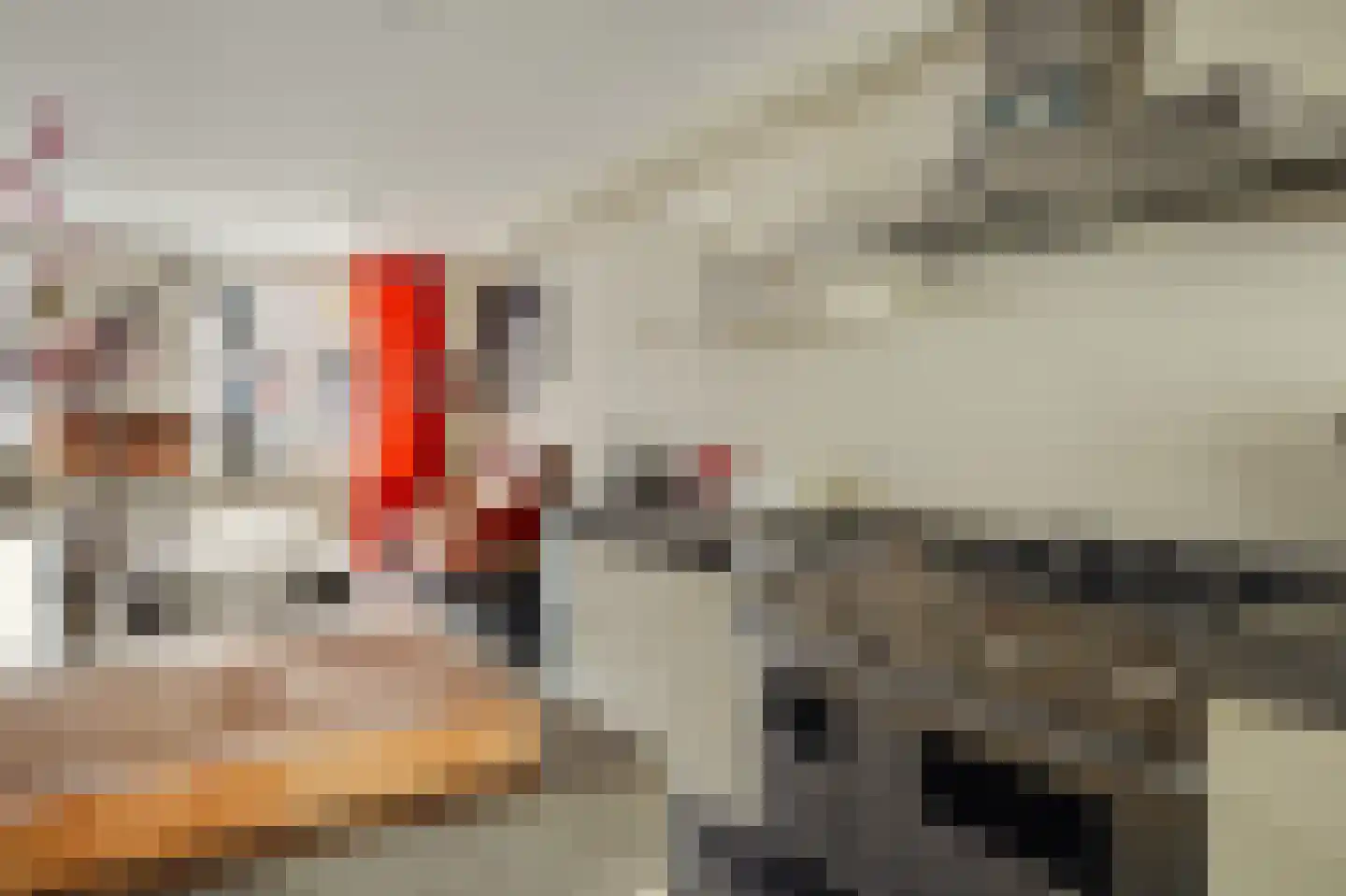 Willemsparkweg 141 Amsterdam thumbnail 23