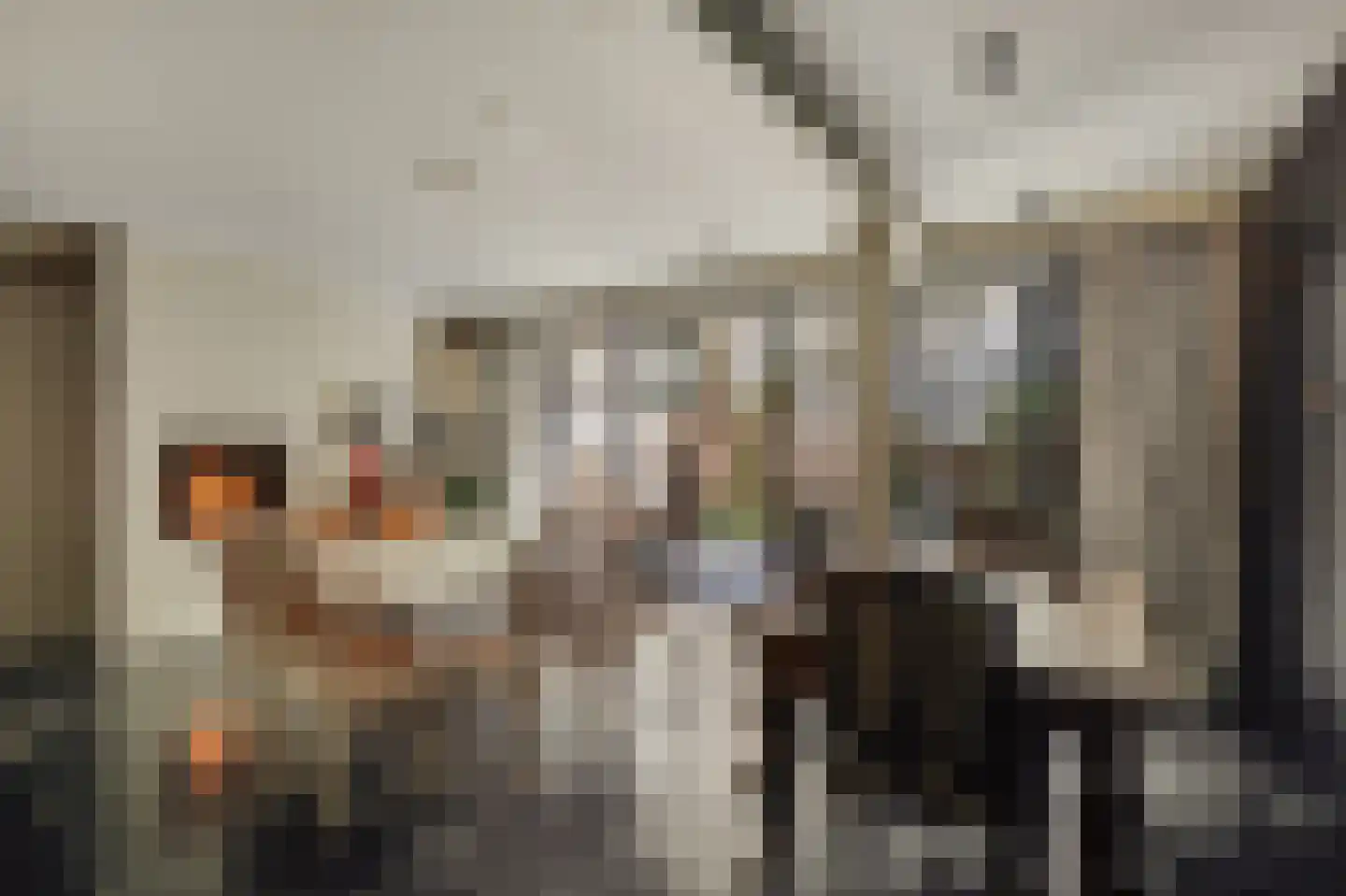 Willemsparkweg 141 Amsterdam thumbnail 27