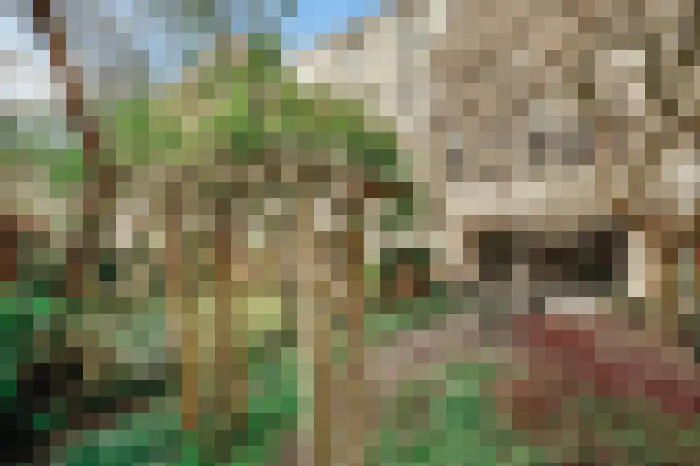 Willemsparkweg 141 Amsterdam thumbnail 30