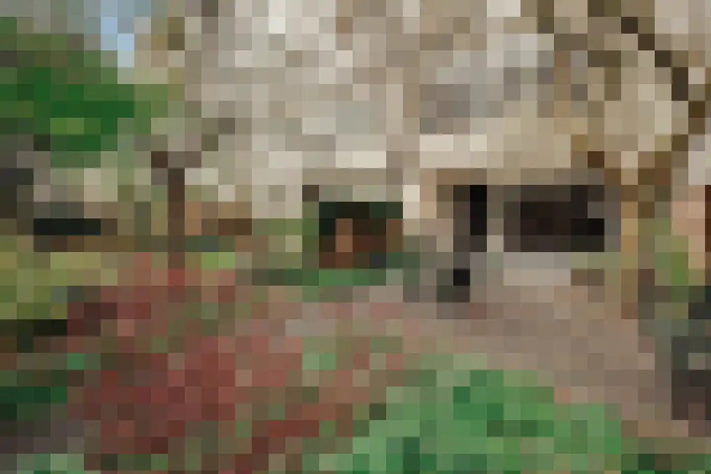 Willemsparkweg 141 Amsterdam thumbnail 31