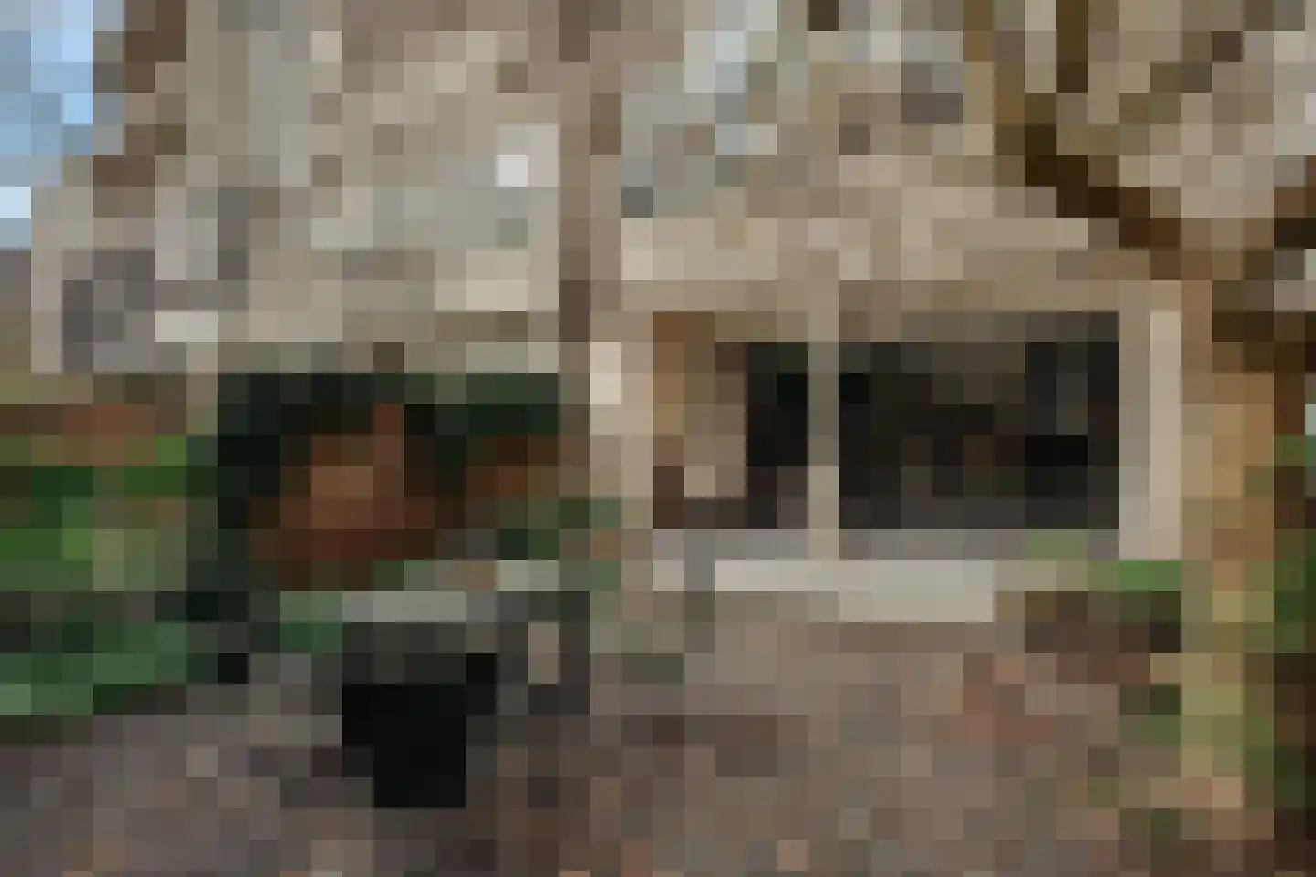 Willemsparkweg 141 Amsterdam thumbnail 32