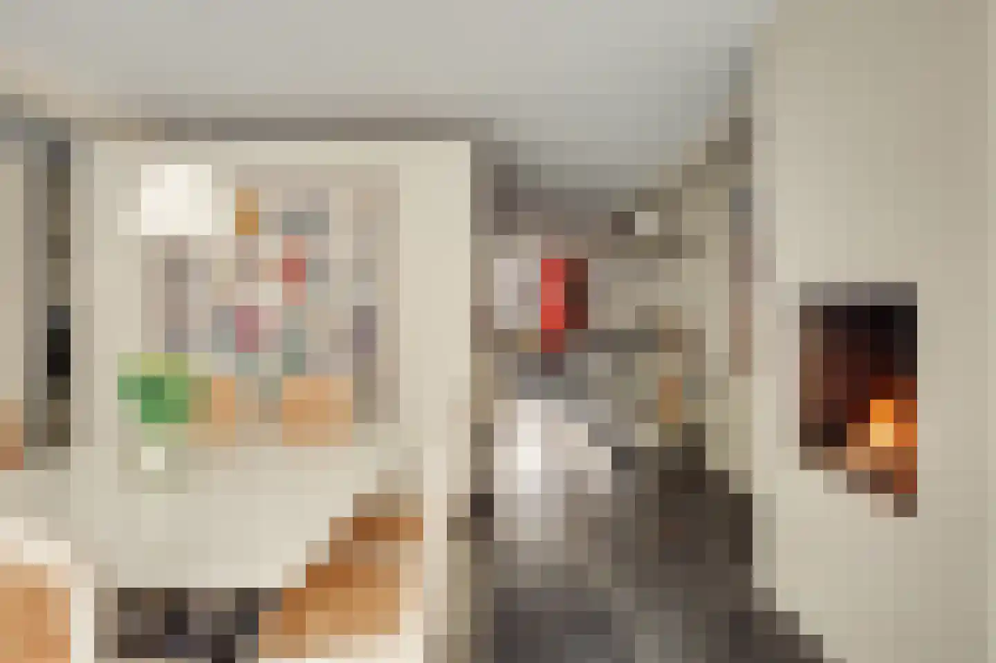 Willemsparkweg 141 Amsterdam thumbnail 33
