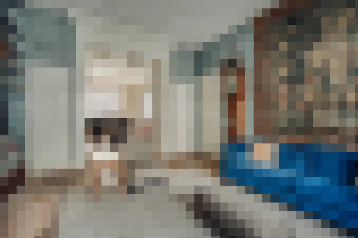 Willemsparkweg 141 Amsterdam thumbnail 36
