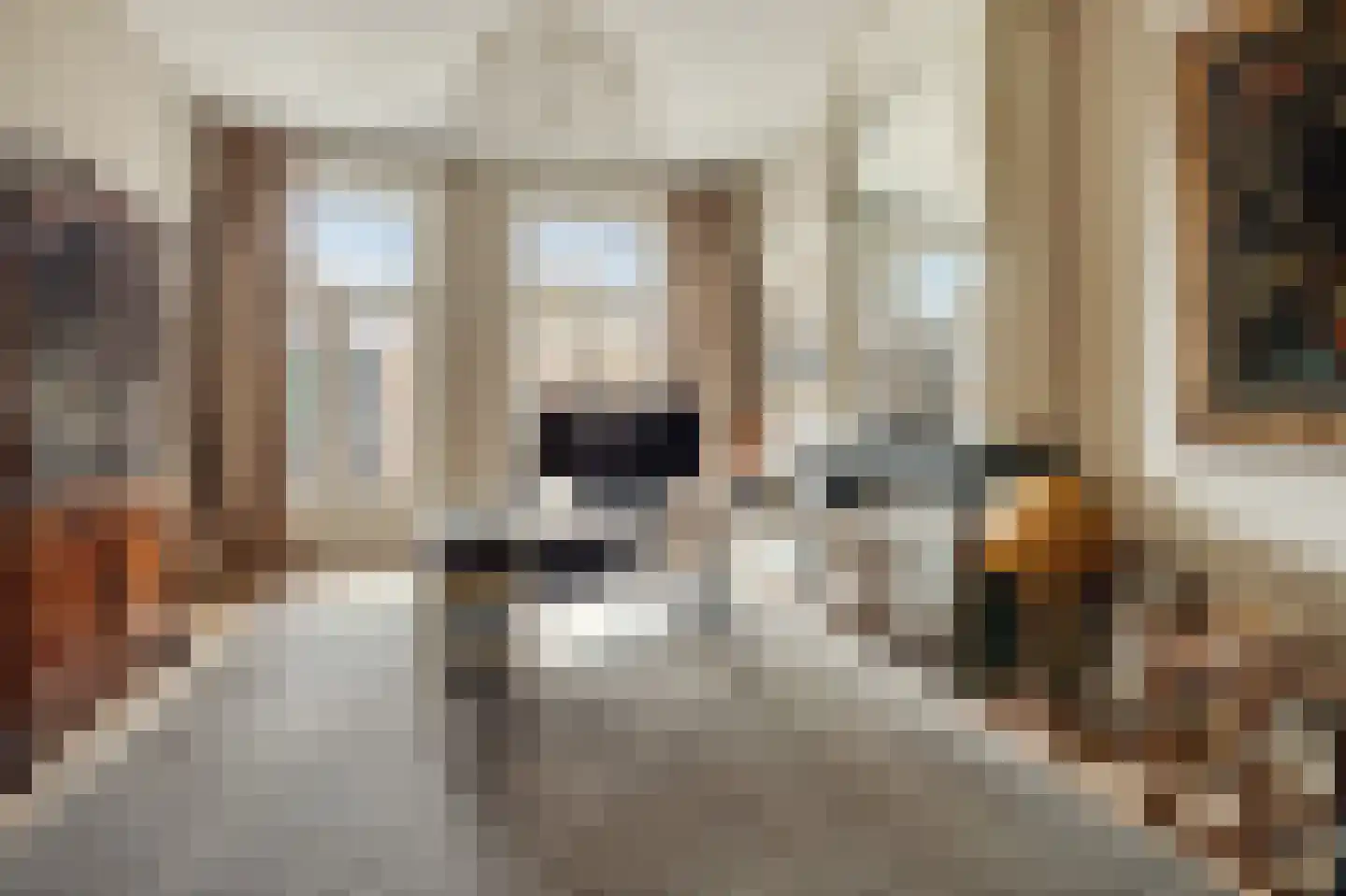 Willemsparkweg 141 Amsterdam thumbnail 47