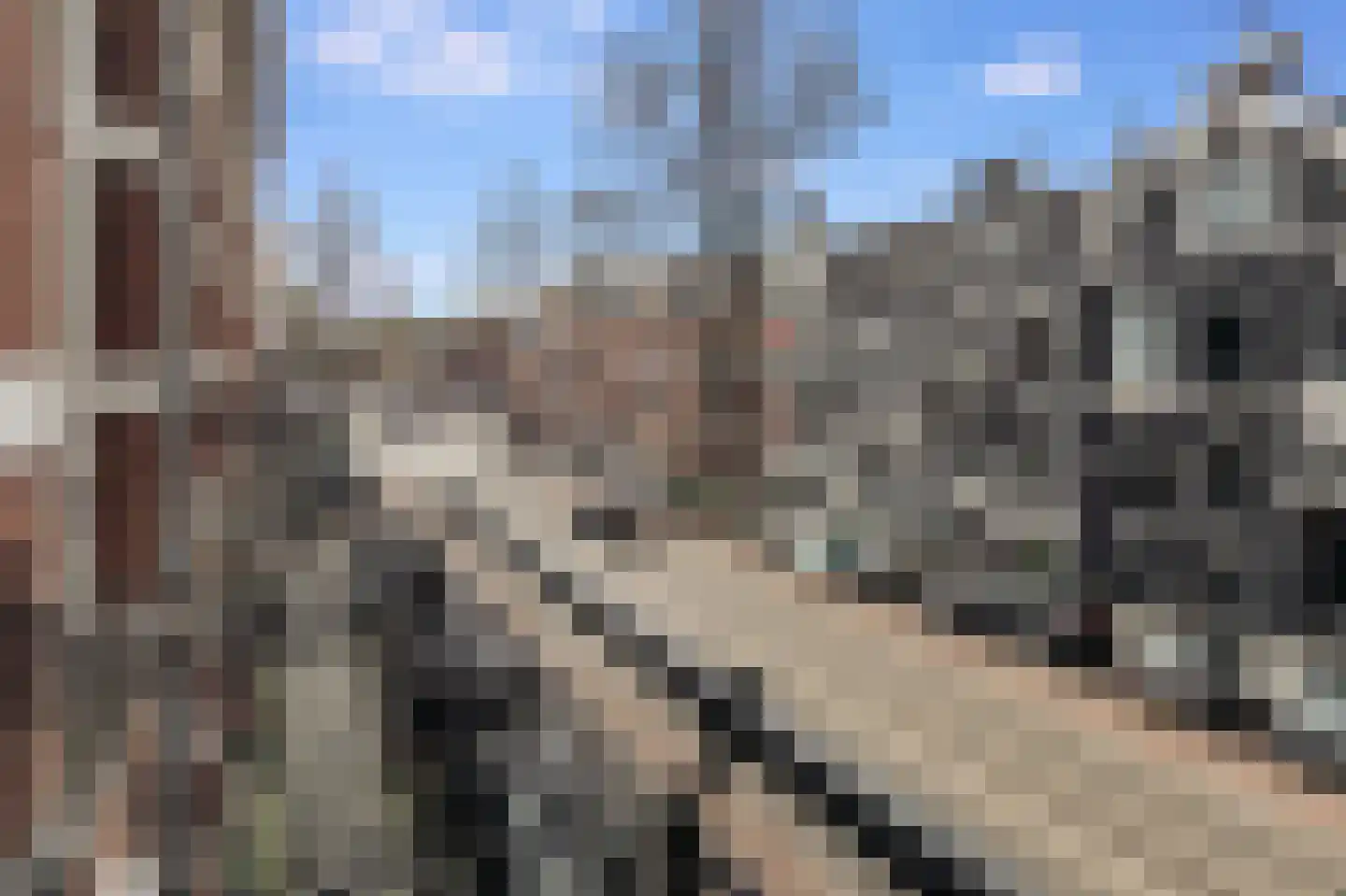 Willemsparkweg 141 Amsterdam thumbnail 48