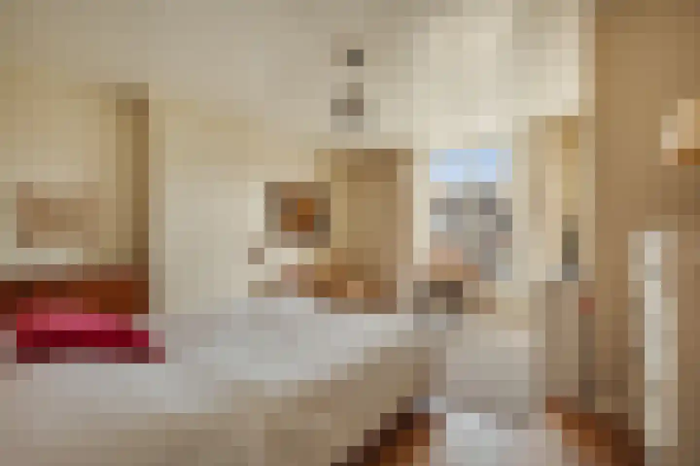 Willemsparkweg 141 Amsterdam thumbnail 61
