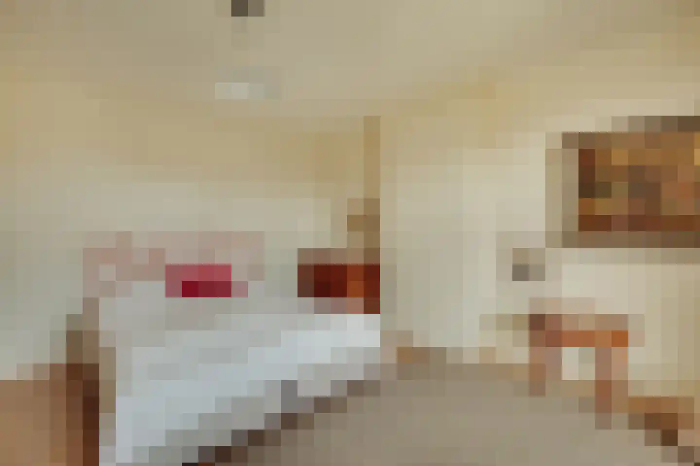 Willemsparkweg 141 Amsterdam thumbnail 64