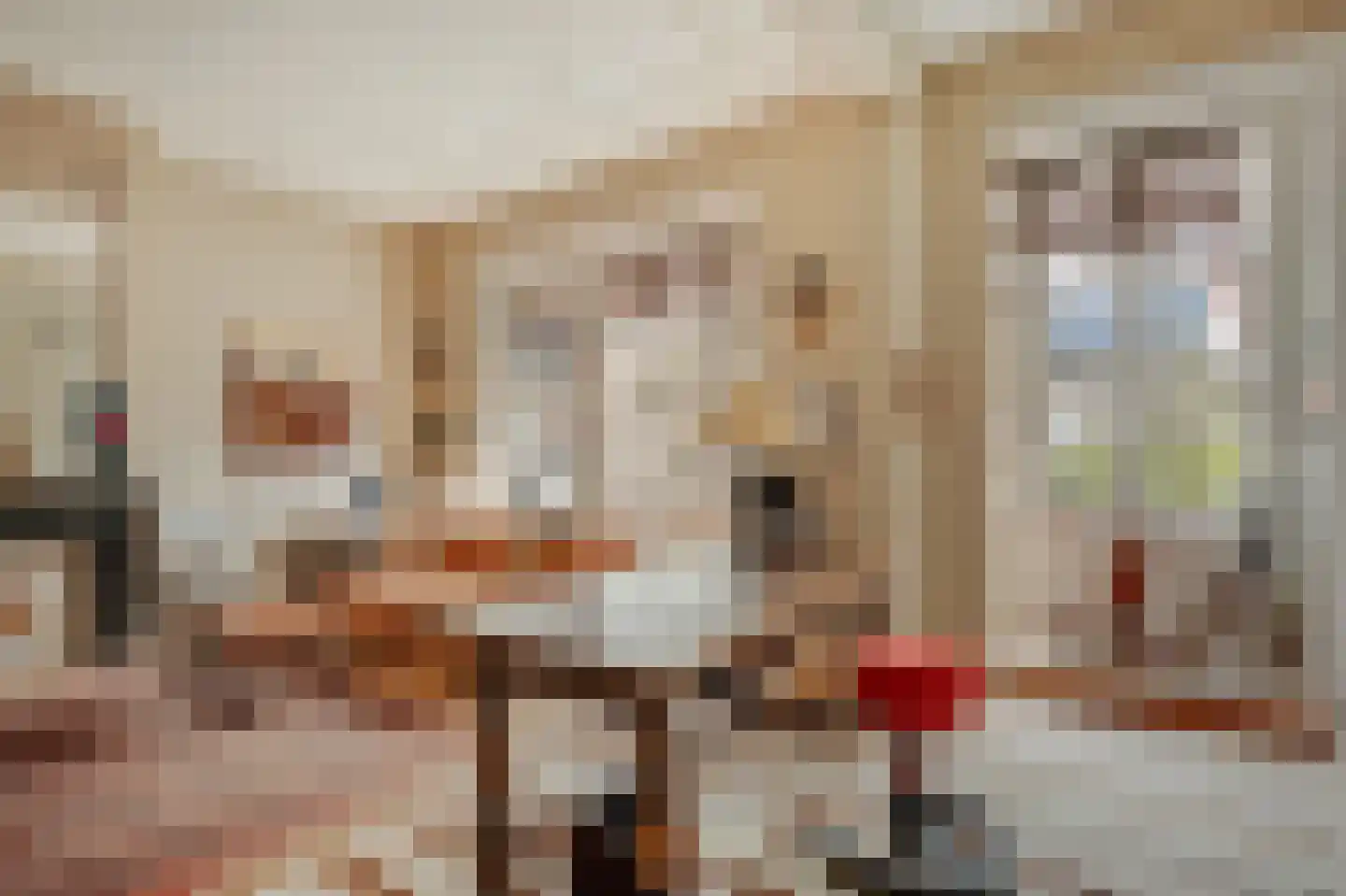 Willemsparkweg 141 Amsterdam thumbnail 7
