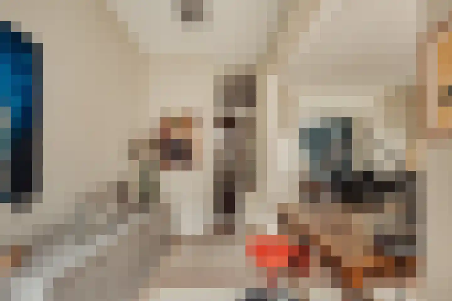 Willemsparkweg 141 Amsterdam thumbnail 9