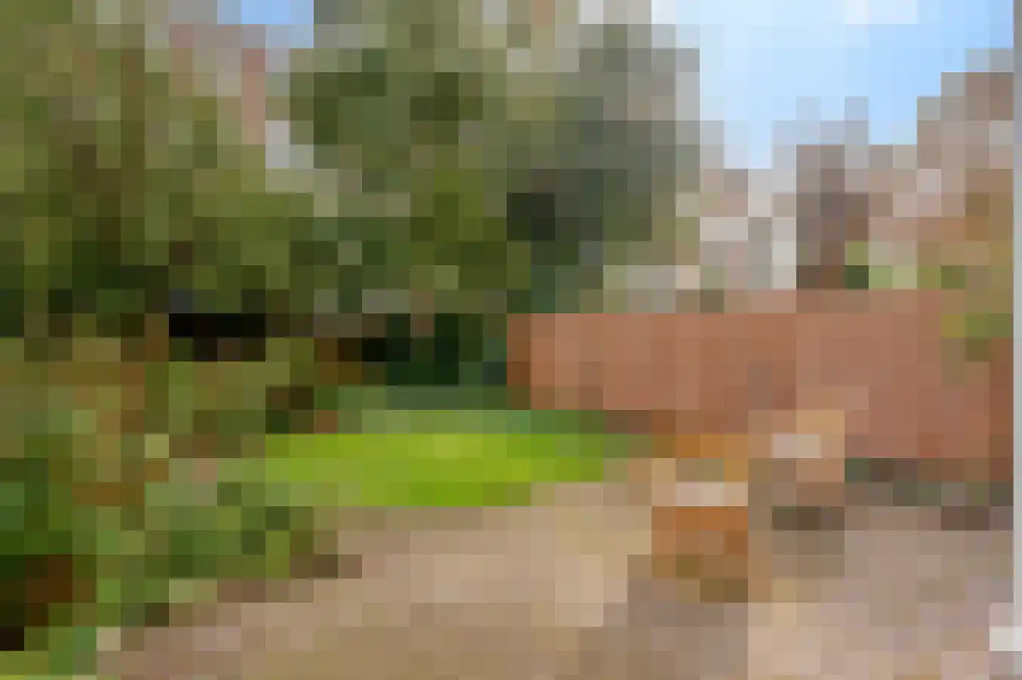 Willemsparkweg 143 H Amsterdam thumbnail 4