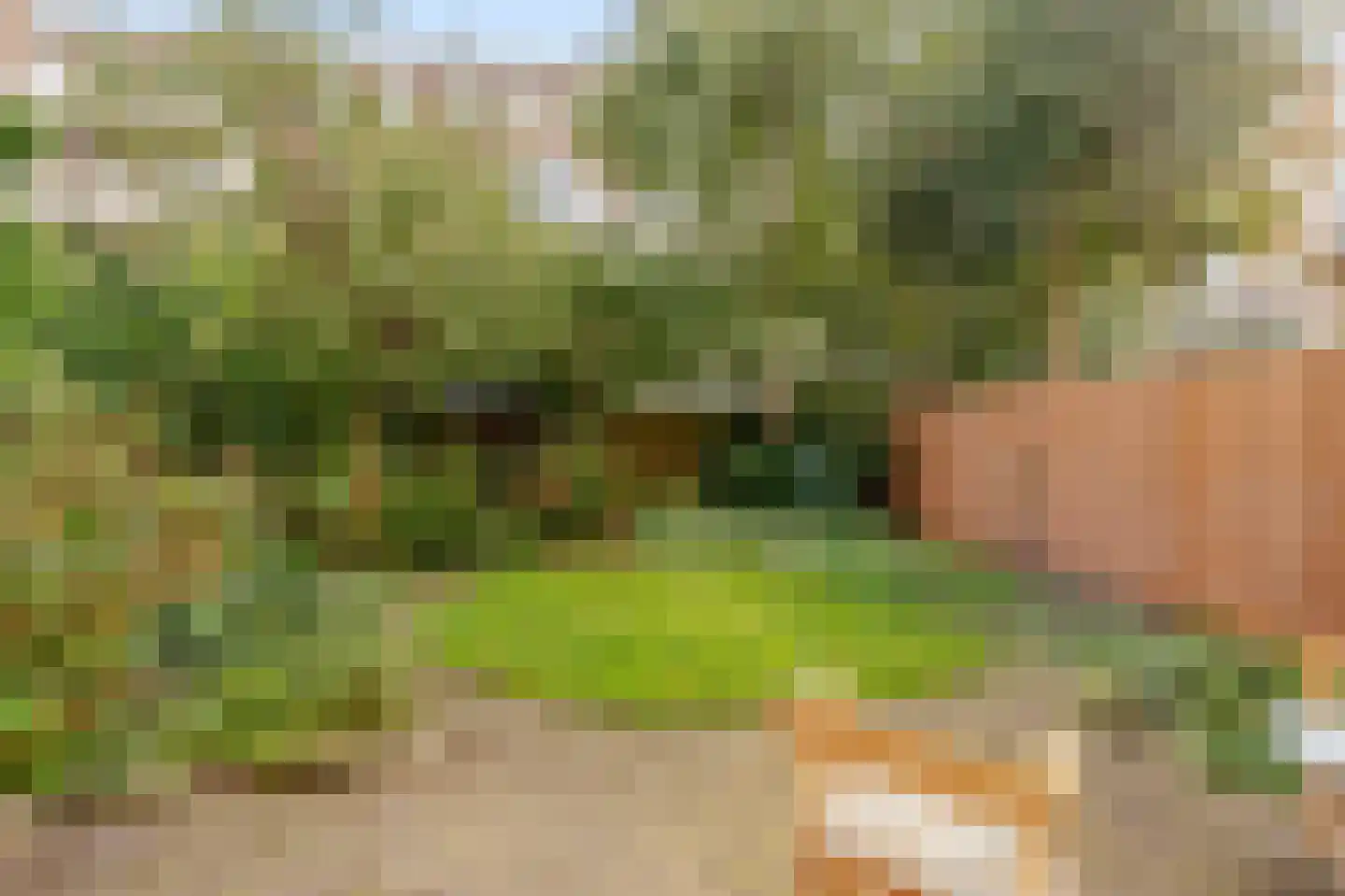 Willemsparkweg 143 H Amsterdam thumbnail 58