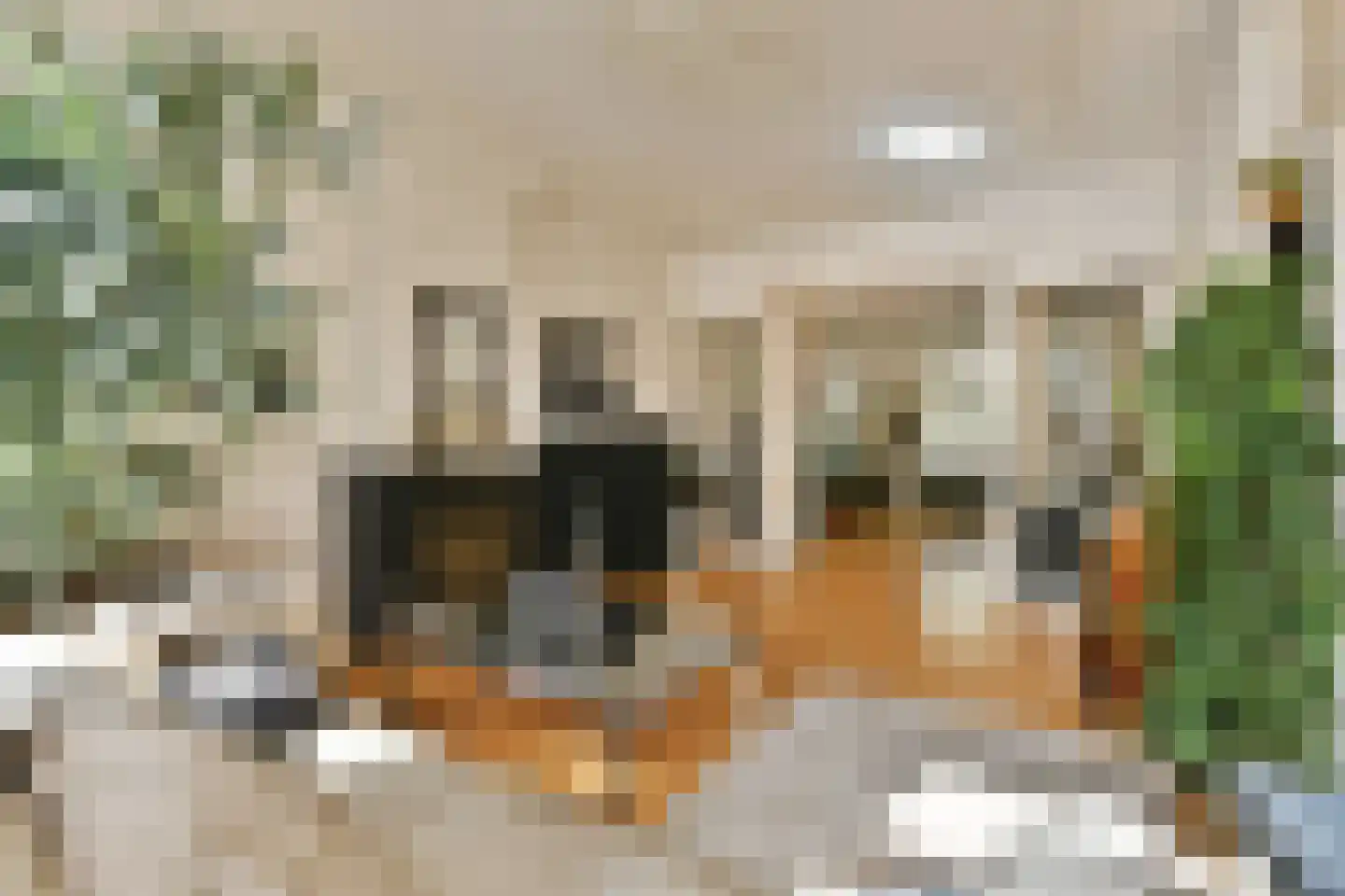 Willemsparkweg 144 1 Amsterdam thumbnail 13