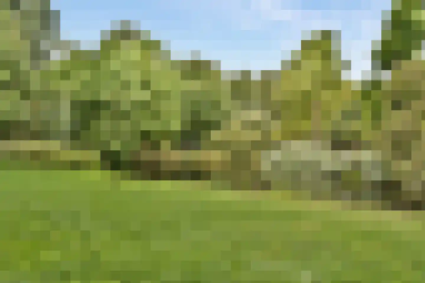 Willemsparkweg 144 1 Amsterdam thumbnail 43