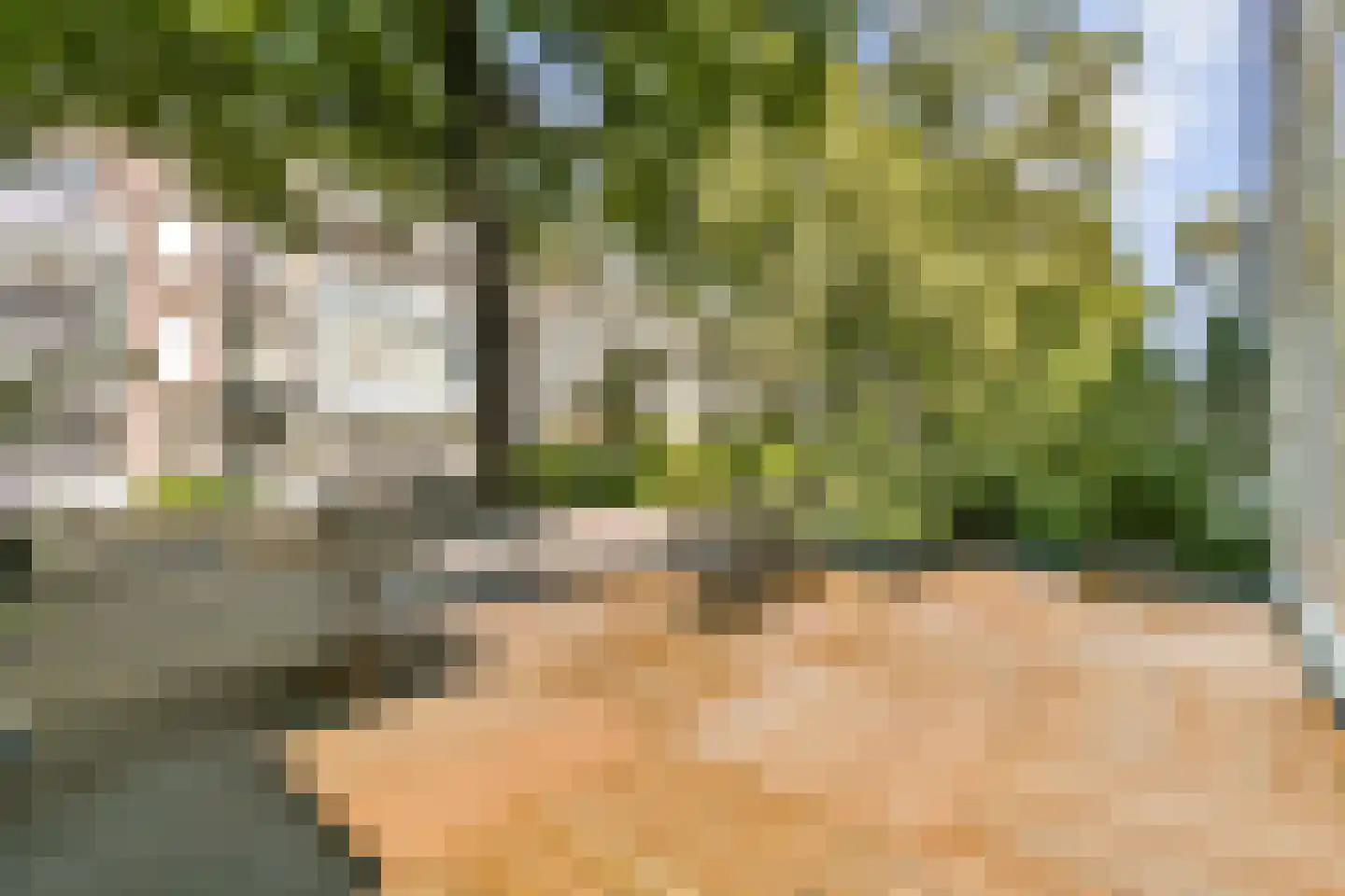 Willemsparkweg 148 1 Amsterdam thumbnail 12