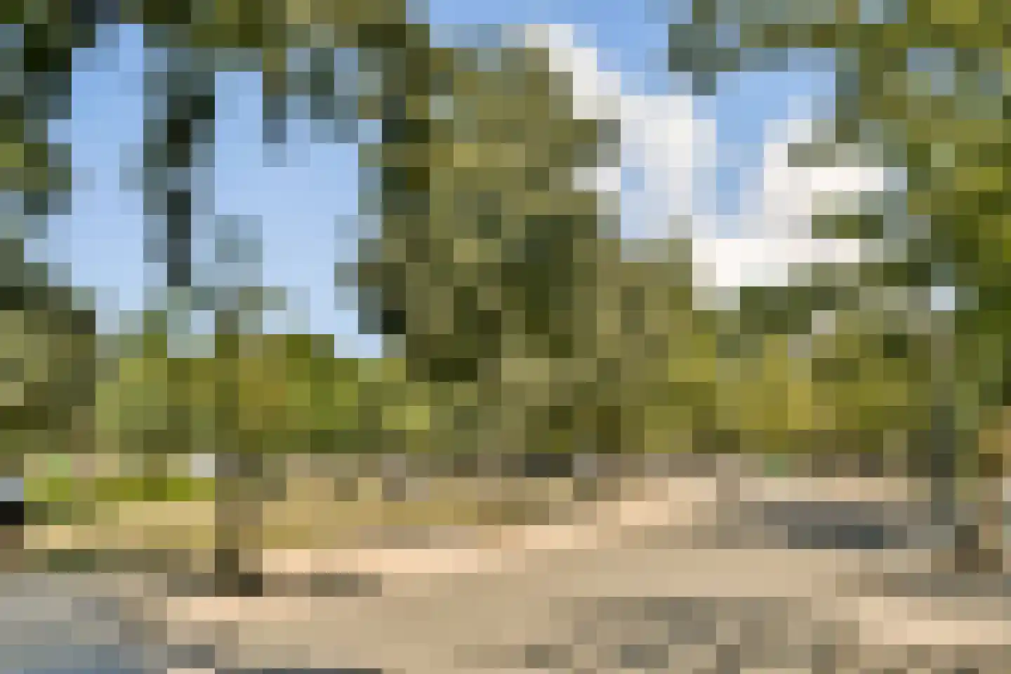 Willemsparkweg 148 1 Amsterdam thumbnail 22