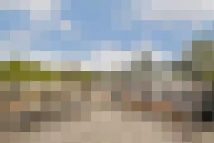 Willemsparkweg 156 2 Amsterdam thumbnail 14