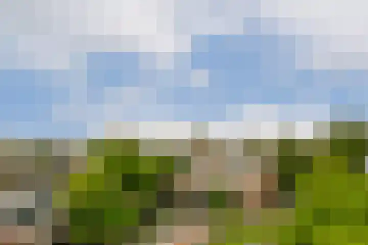 Willemsparkweg 156 2 Amsterdam thumbnail 18