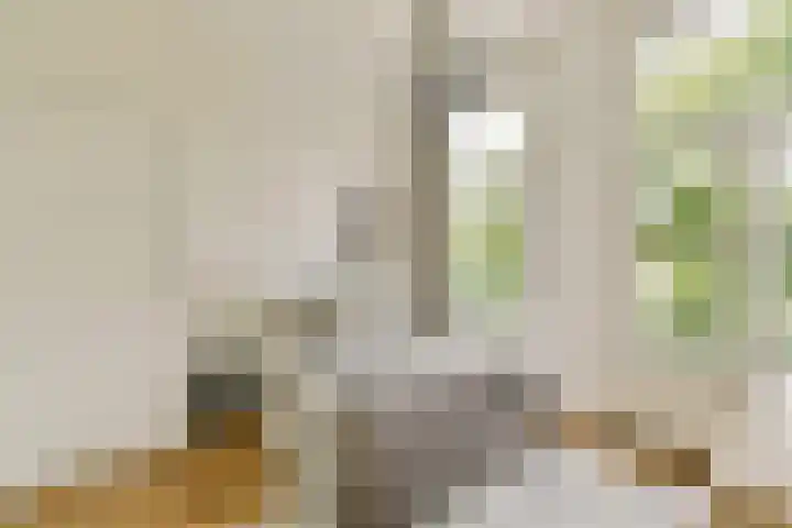 Willemsparkweg 156 2 Amsterdam thumbnail 28