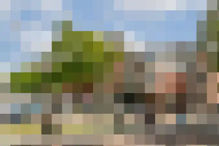 Willemsparkweg 156 2 Amsterdam thumbnail 35
