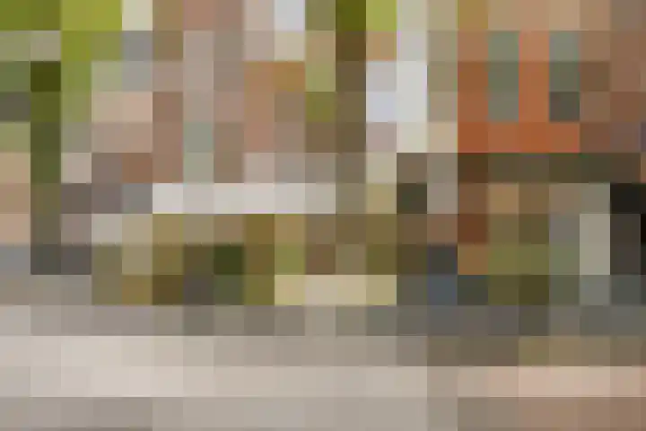 Willemsparkweg 156 2 Amsterdam thumbnail 39