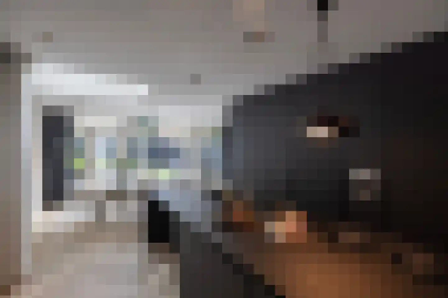 Willemsparkweg 17 Amsterdam thumbnail 15