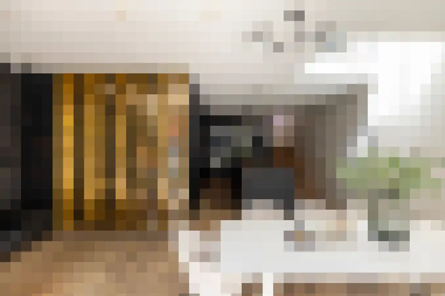 Willemsparkweg 17 Amsterdam thumbnail 17