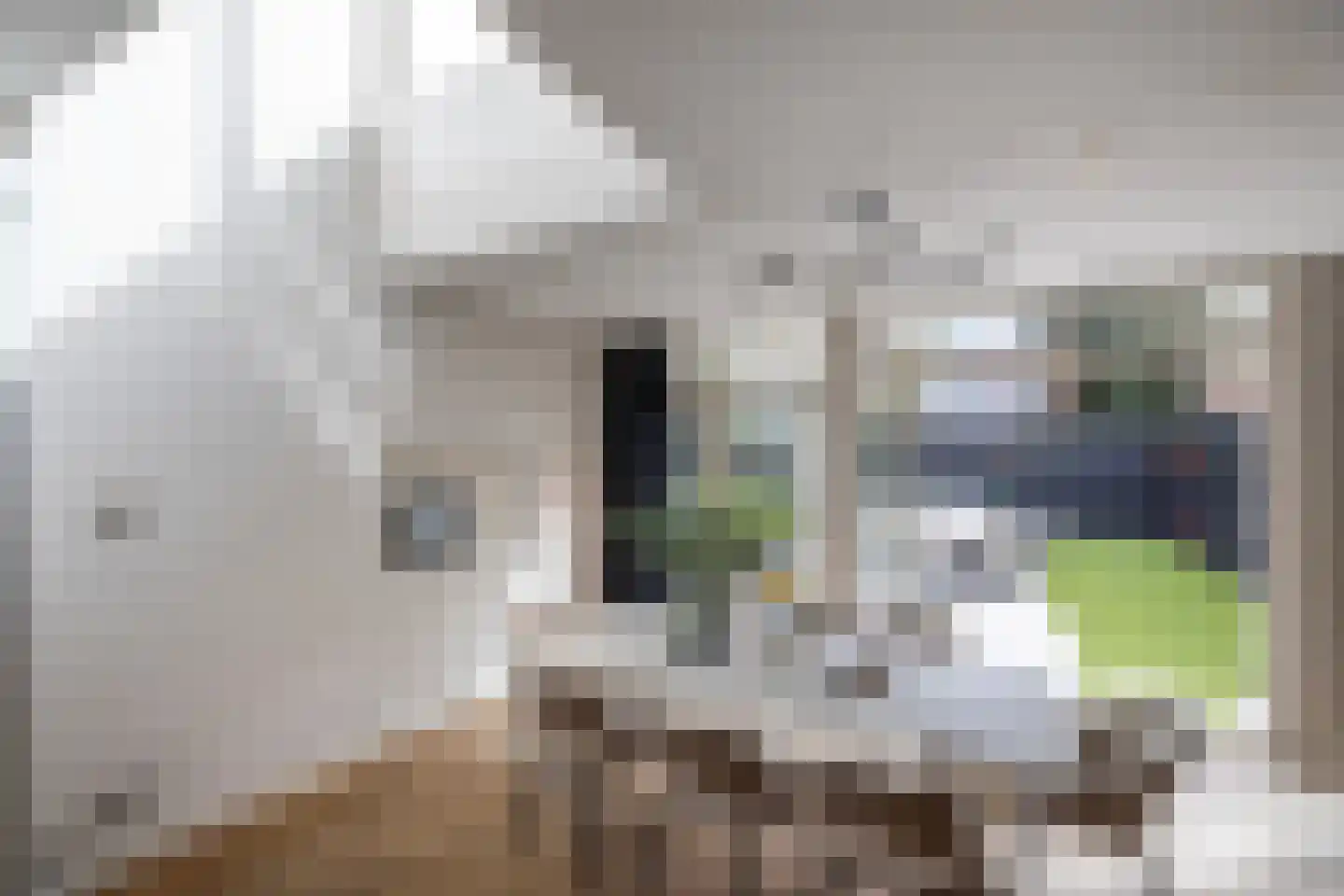 Willemsparkweg 17 Amsterdam thumbnail 18