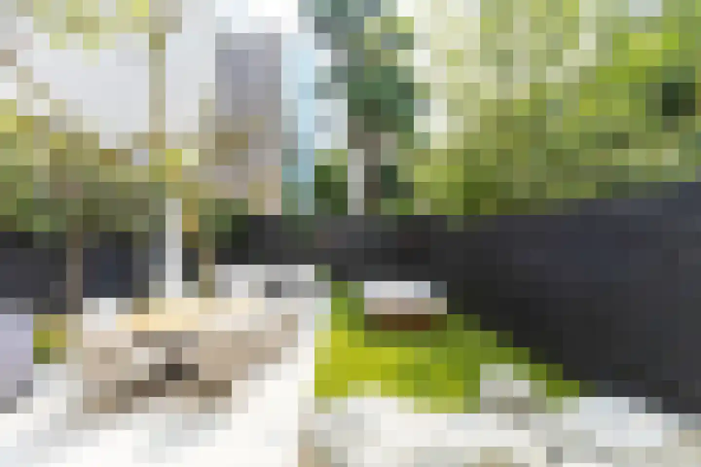 Willemsparkweg 17 Amsterdam thumbnail 19