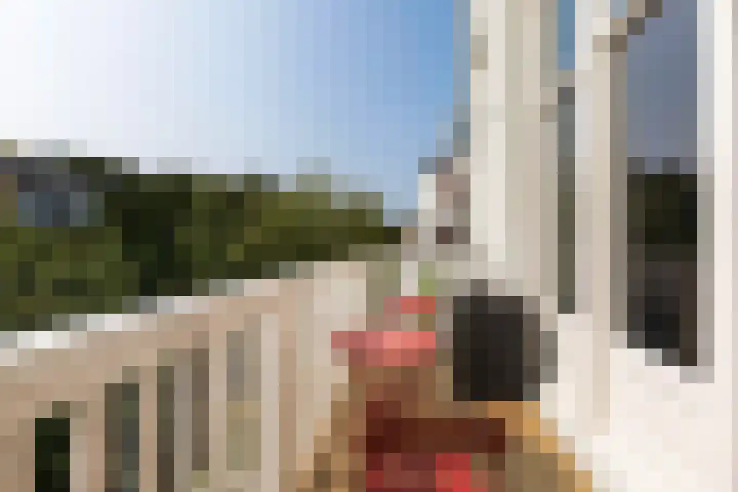 Willemsparkweg 17 Amsterdam thumbnail 25