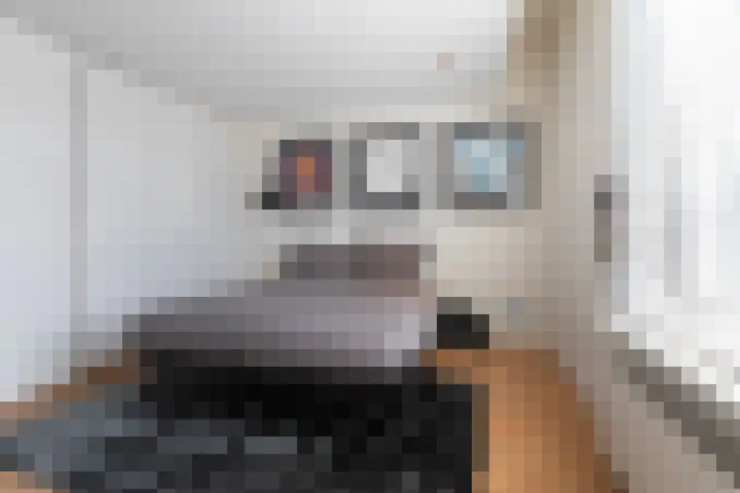 Willemsparkweg 17 Amsterdam thumbnail 35