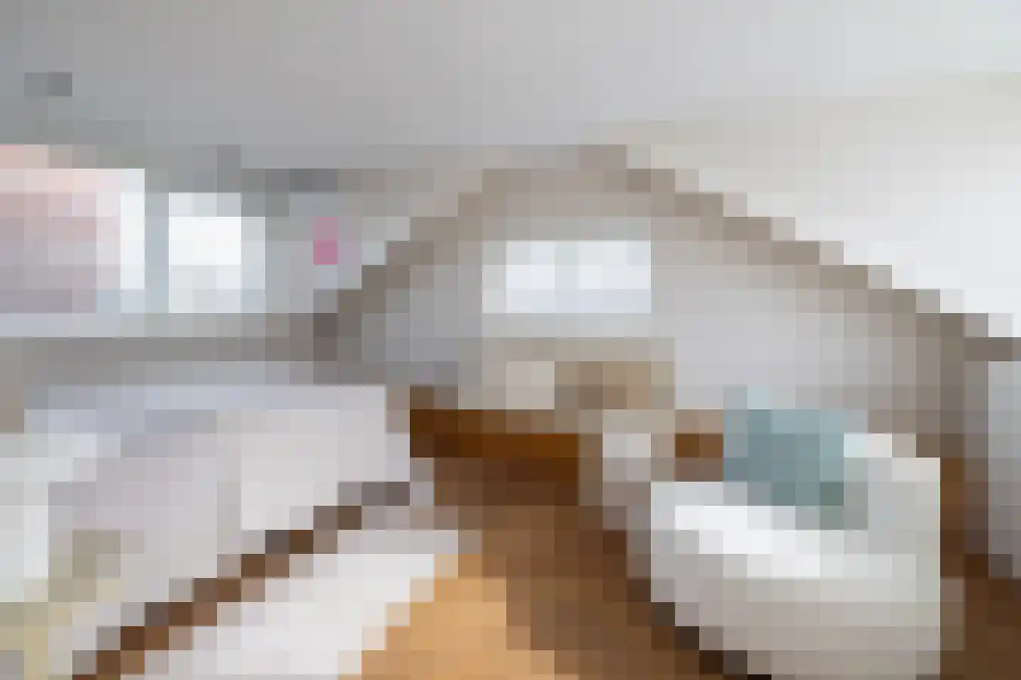 Willemsparkweg 17 Amsterdam thumbnail 37